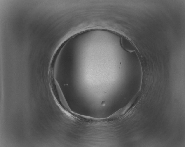 X0000054461519200508011448