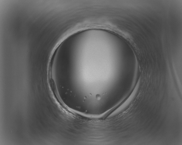 X0000054461520200508011448