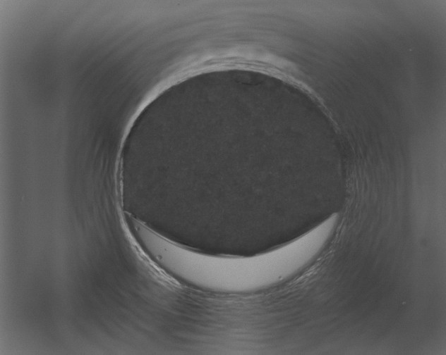 X0000054461522200508011448