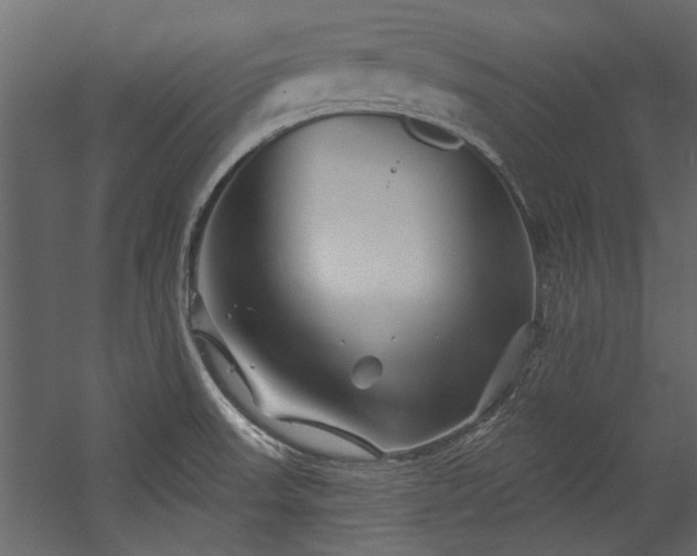 X0000054461523200508011448