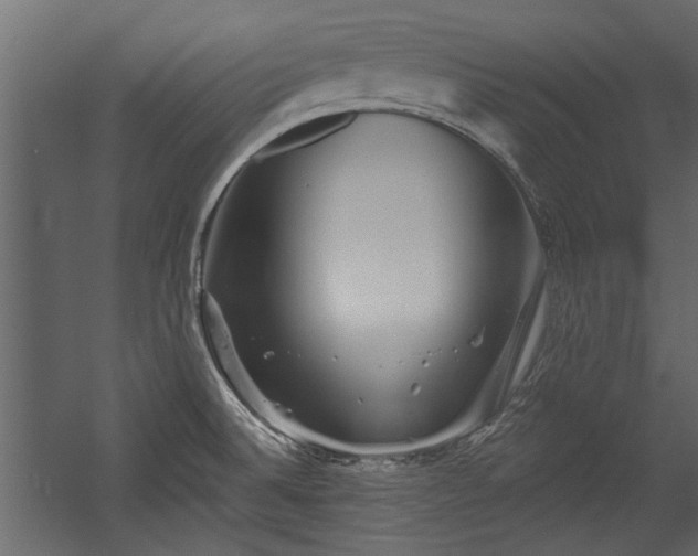 X0000054461524200508011448