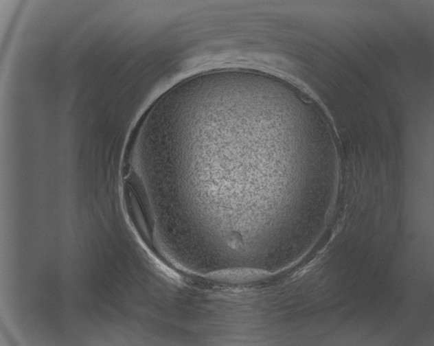 X0000054461525200508011448