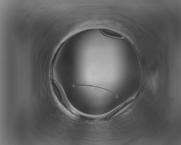 X0000054461526200508011448