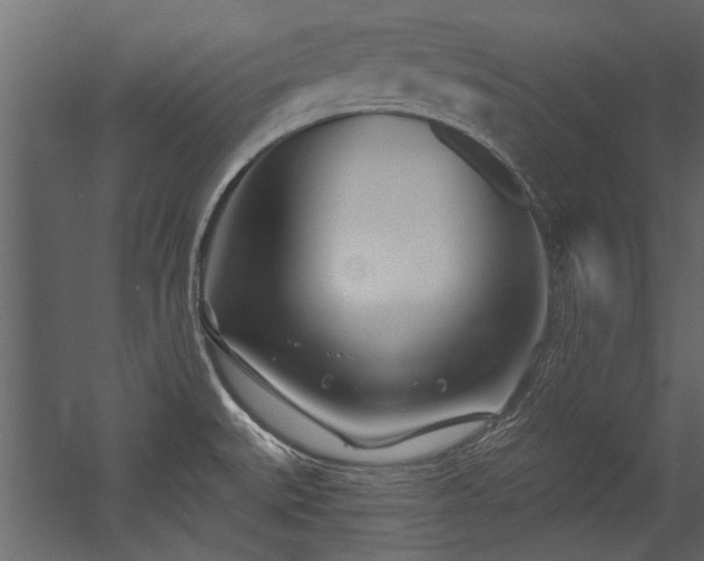 X0000054461527200508011448