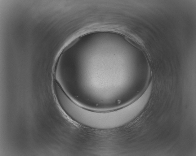 X0000054461528200508011448