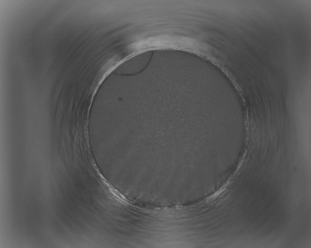 X0000054461529200508011448