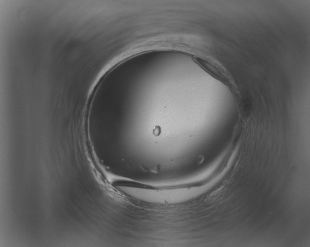 X0000054461530200508011448