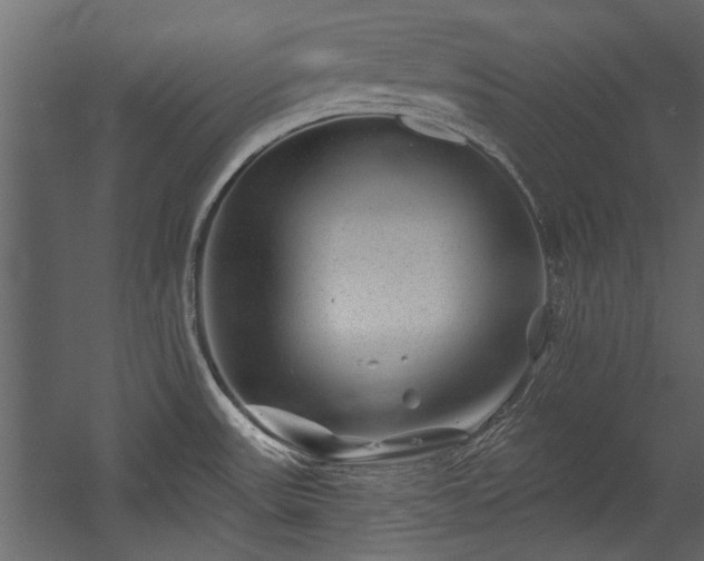 X0000054461531200508011448