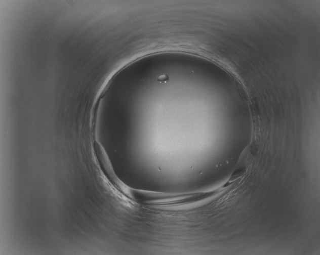 X0000054461532200508011448