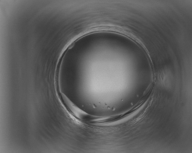 X0000054461533200508011448