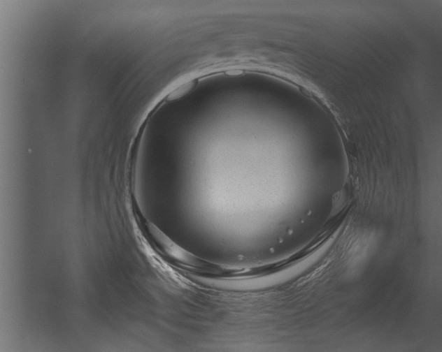 X0000054461534200508011448