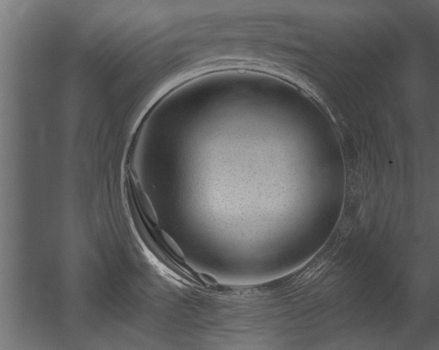 X0000054461535200508011448