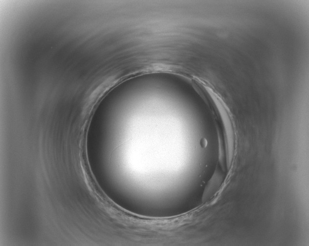 X0000054460001200508052003