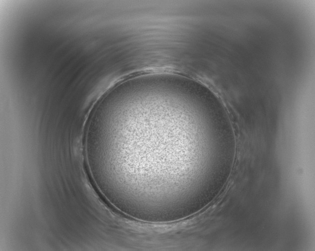 X0000054460002200508052003