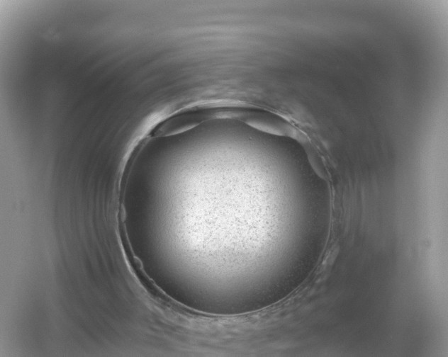 X0000054460003200508052003