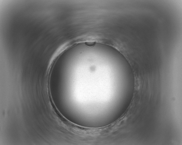 X0000054460004200508052003