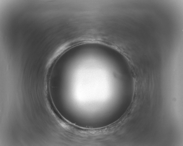 X0000054460005200508052003