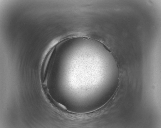 X0000054460006200508052003