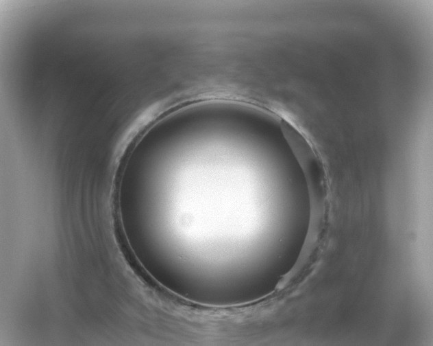 X0000054460007200508052003