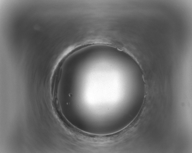 X0000054460008200508052003