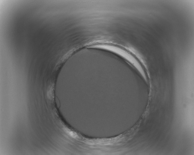 X0000054460009200508052003