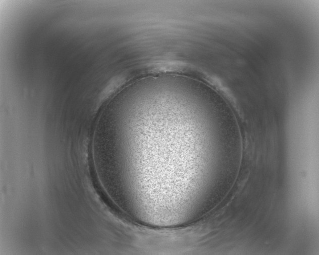 X0000054460010200508052003