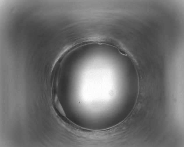 X0000054460011200508052003