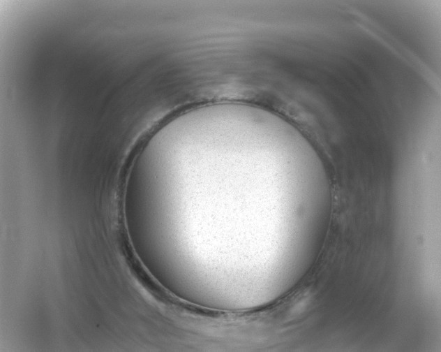 X0000054460012200508052003