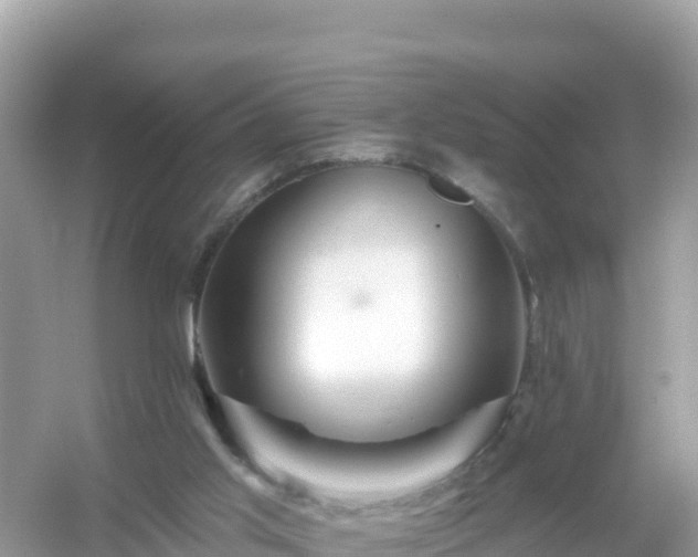 X0000054460013200508052003