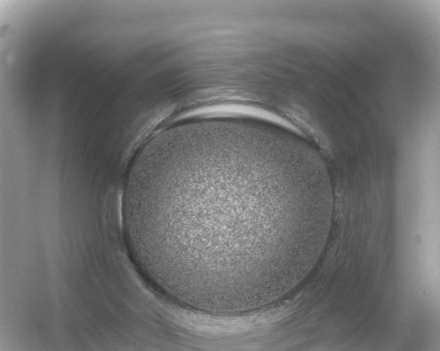 X0000054460014200508052003