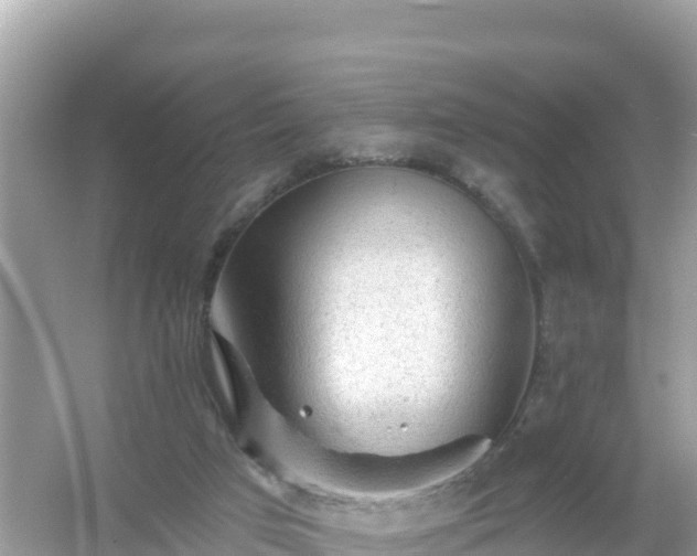 X0000054460017200508052003