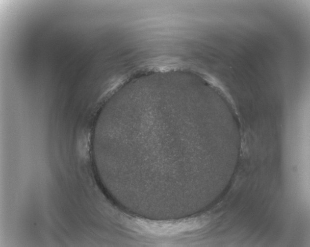 X0000054460018200508052002