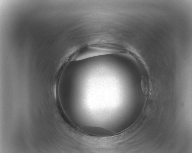 X0000054460019200508052002