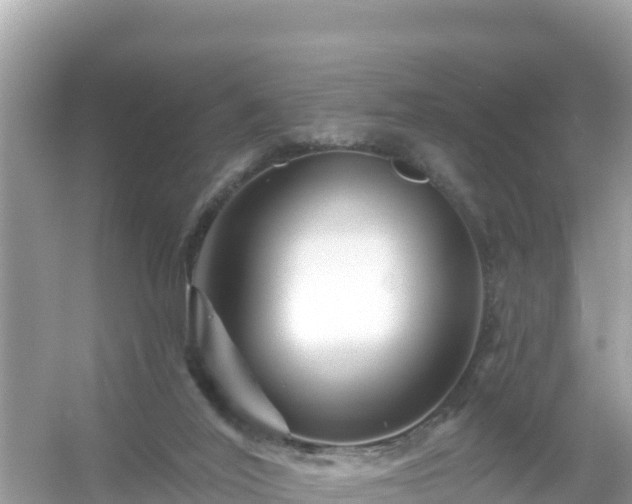 X0000054460020200508052002