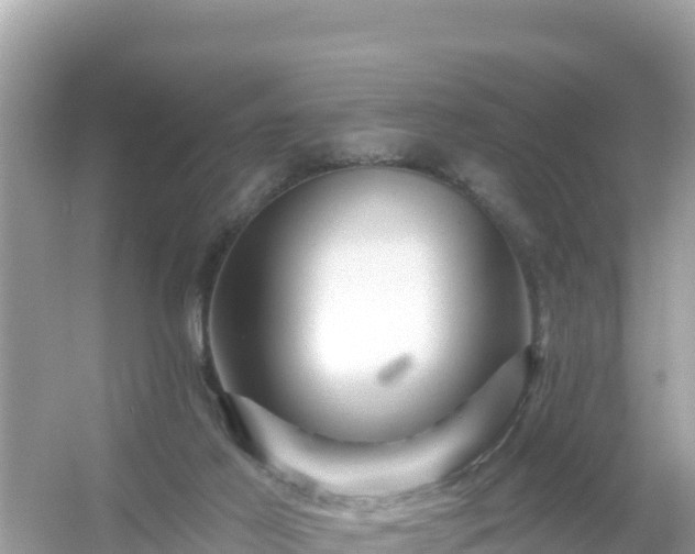 X0000054460021200508052002