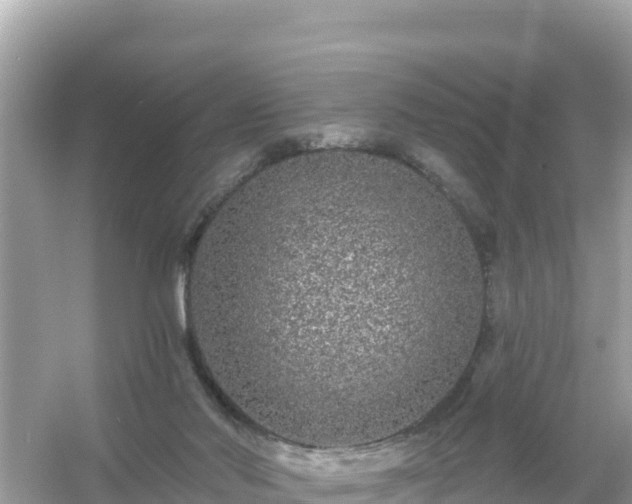 X0000054460022200508052002