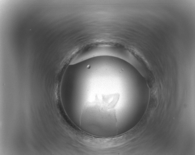 X0000054460023200508052002