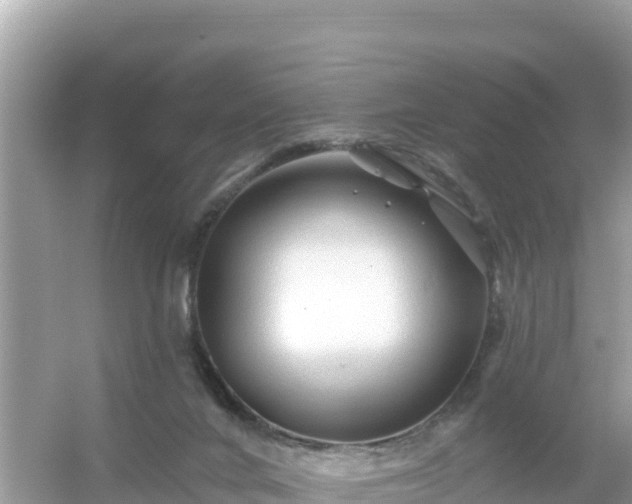 X0000054460024200508052002