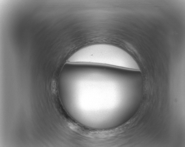 X0000054460025200508052002