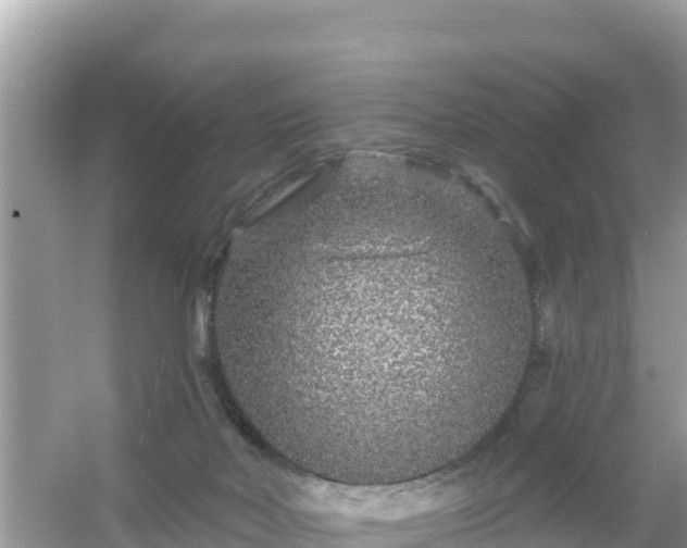 X0000054460026200508052002