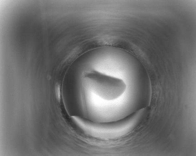 X0000054460027200508052002