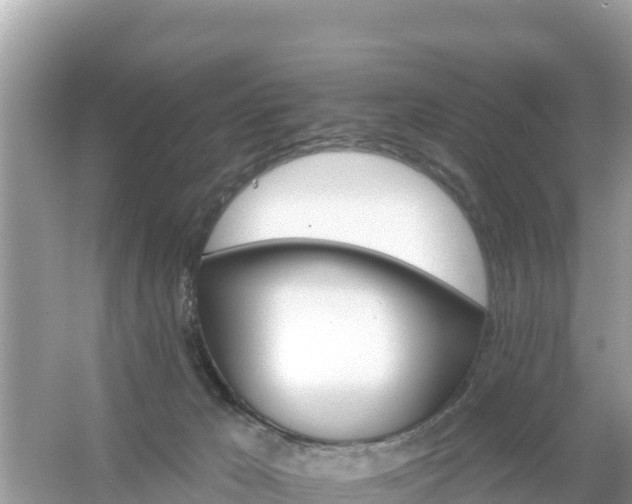 X0000054460029200508052002