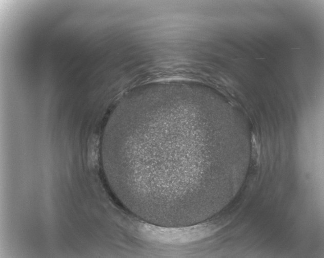 X0000054460030200508052002