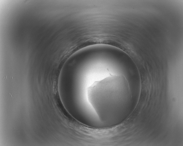 X0000054460031200508052002