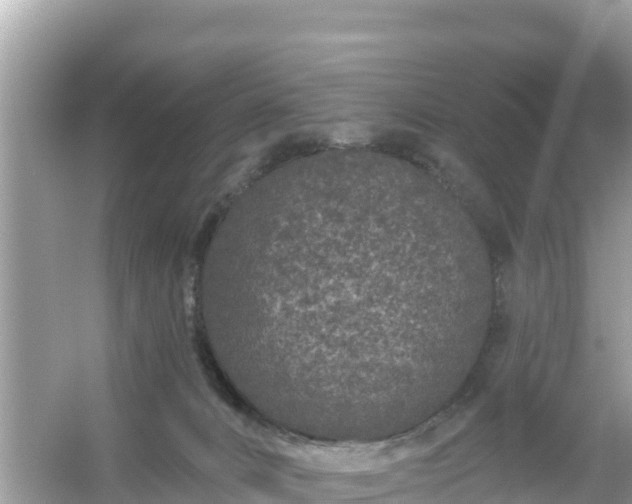 X0000054460032200508052002