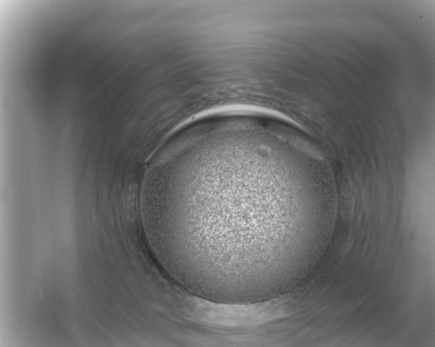 X0000054460034200508052002