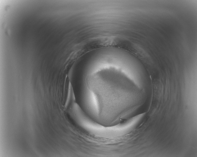 X0000054460035200508052002