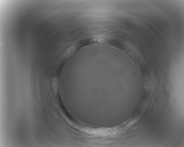 X0000054460036200508052002