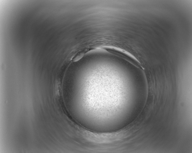 X0000054460038200508052002