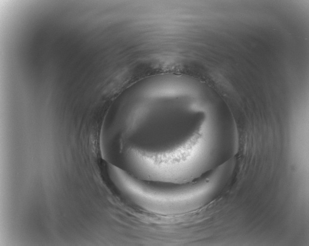 X0000054460039200508052002